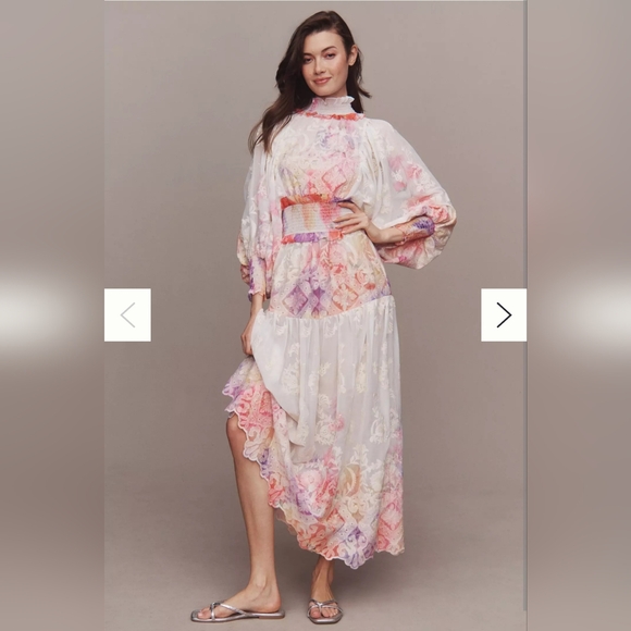 Anthropologie NWT Elliatt Grandeur Long-Sleeve Floral Organza A-Line Midi Dr…